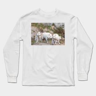 A pack of Arctic Wolves Long Sleeve T-Shirt